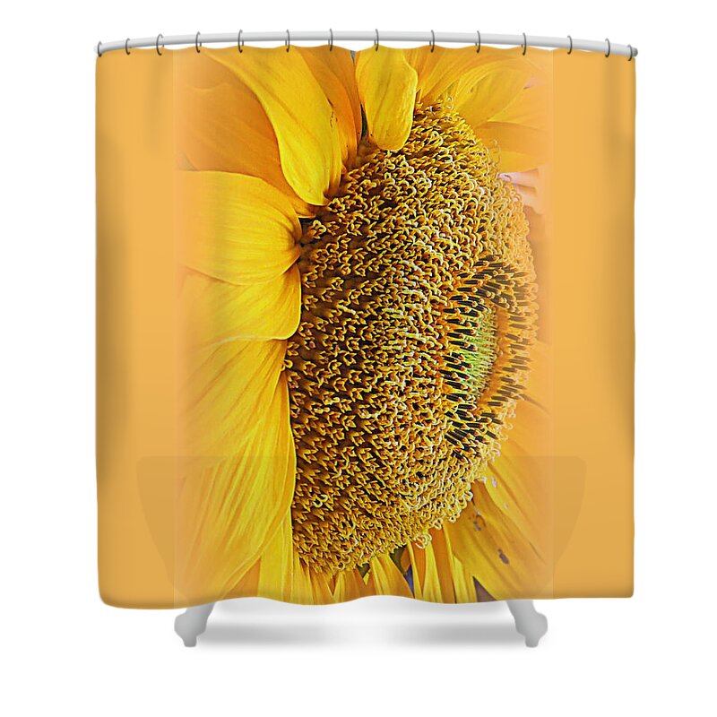 Macro Shower Curtain featuring the photograph Sunflower by Kay Novy
