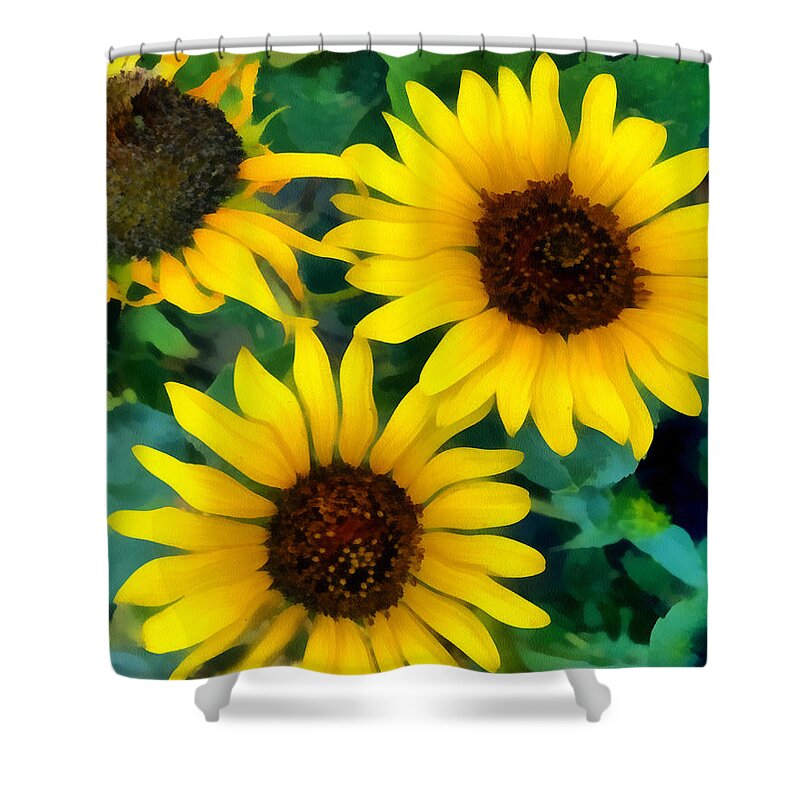 Sunflower Shower Curtain featuring the photograph Sunflower Trio by Ann Powell