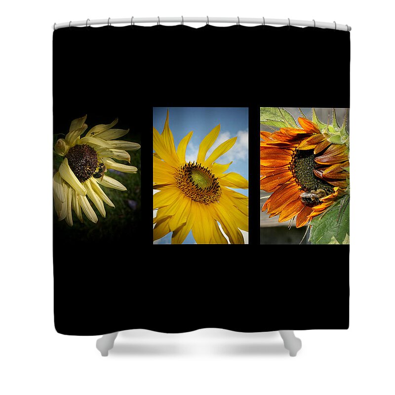 Trio Shower Curtain featuring the photograph Sunflower Trio by Susan McMenamin