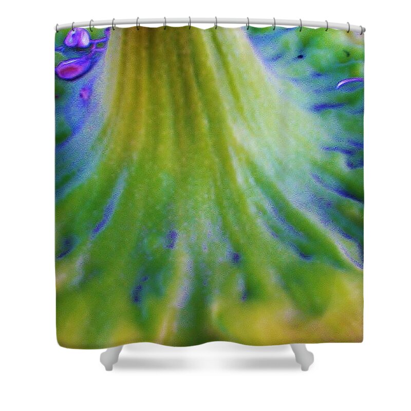 Sunflower Shower Curtain featuring the photograph Sunflower...Moonside 2 by Daniel Thompson