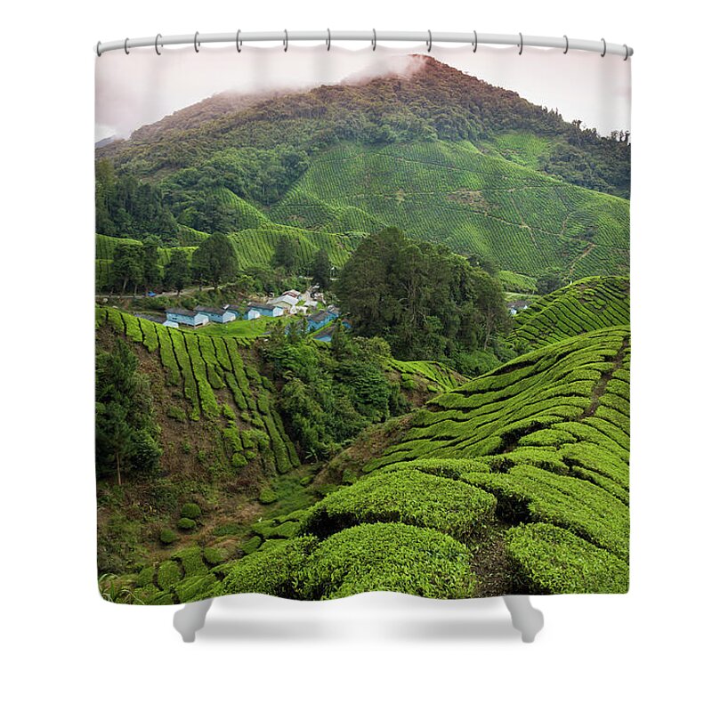 Cameron Highlands Shower Curtain featuring the photograph Sungai Palas Tea Estate With Workers by Anders Blomqvist