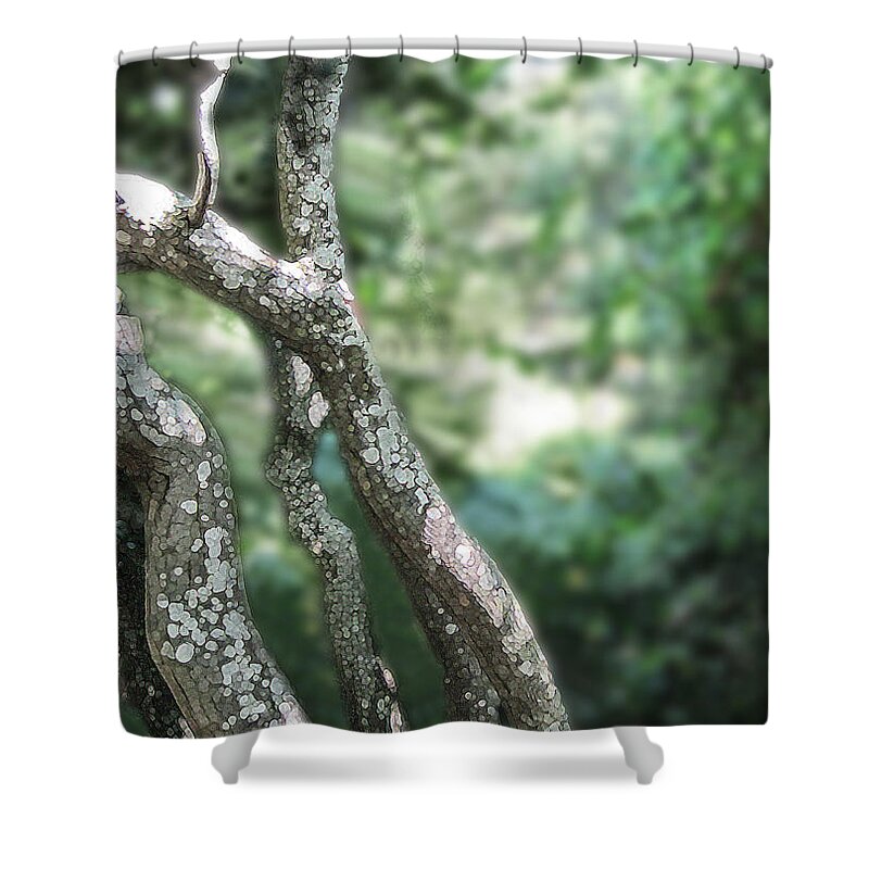 Lichens Shower Curtain featuring the digital art Sunken Lichens by Lynellen Nielsen