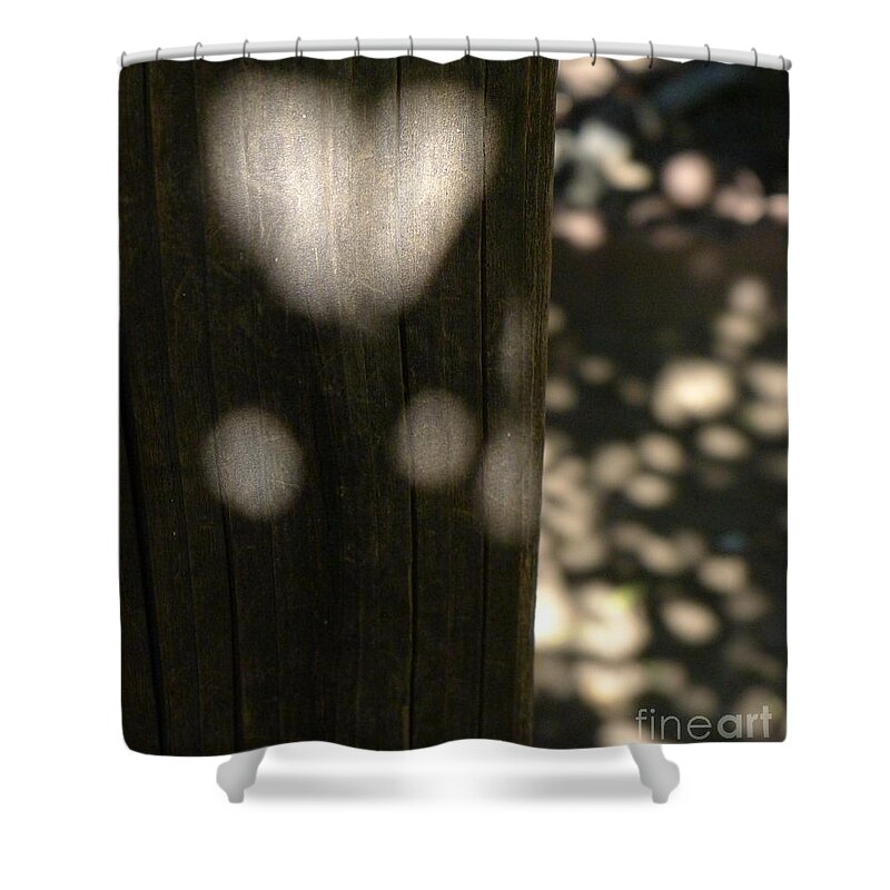 Sunlight Shower Curtain featuring the photograph Sunlight by Nora Boghossian