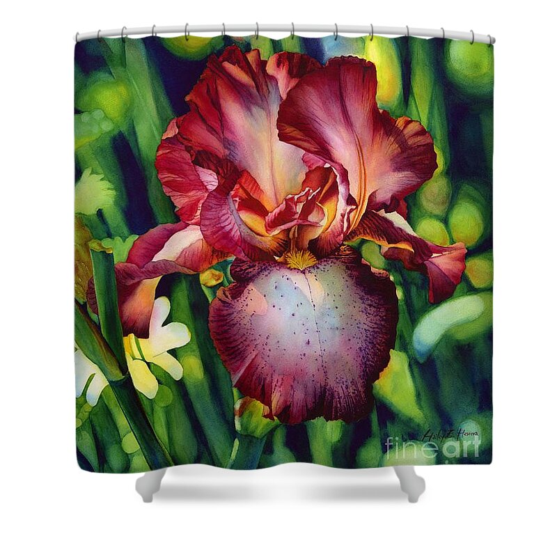 Iris Shower Curtain featuring the painting Sunlit Iris by Hailey E Herrera