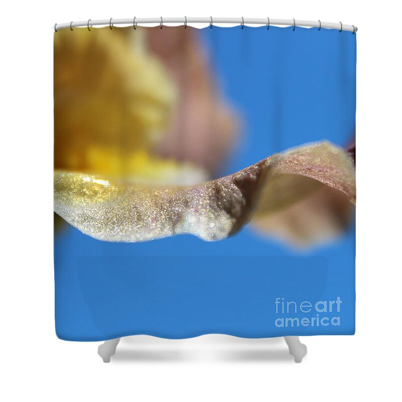 Flower Shower Curtain featuring the photograph Sunlit Wonder by Stacey Zimmerman