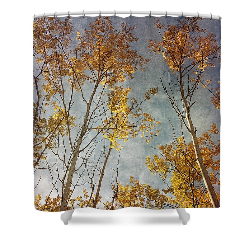 Leaves Shower Curtain featuring the photograph Sunny Leaves Tall by Priska Wettstein