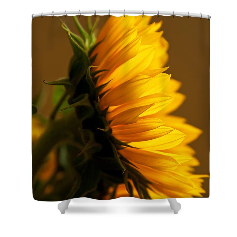 Bob And Nancy Kendrick Shower Curtain featuring the photograph Sunny Profile by Bob and Nancy Kendrick