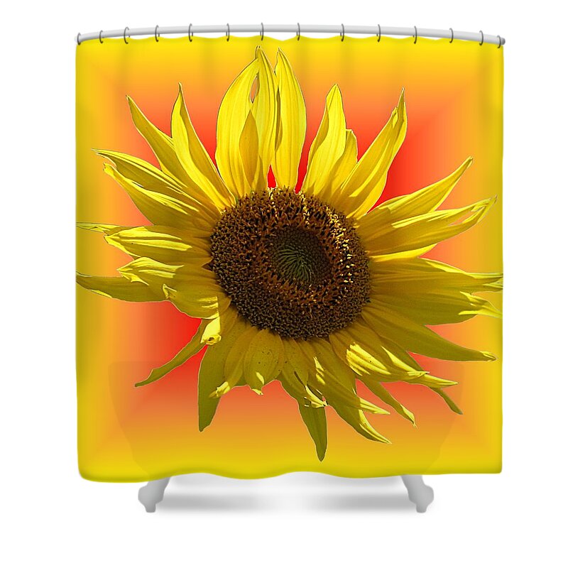 Sunflower Shower Curtain featuring the photograph Sunny Sunflower on Warm Colors by MTBobbins Photography