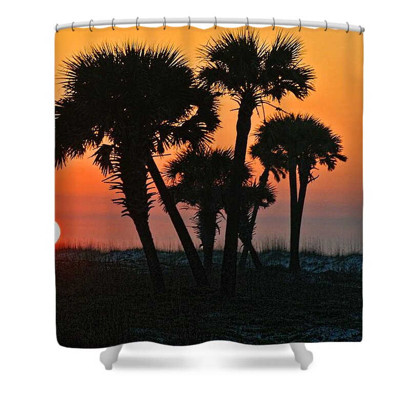 Palm Shower Curtain featuring the digital art Sunrise and Group of Palm Trees by Michael Thomas