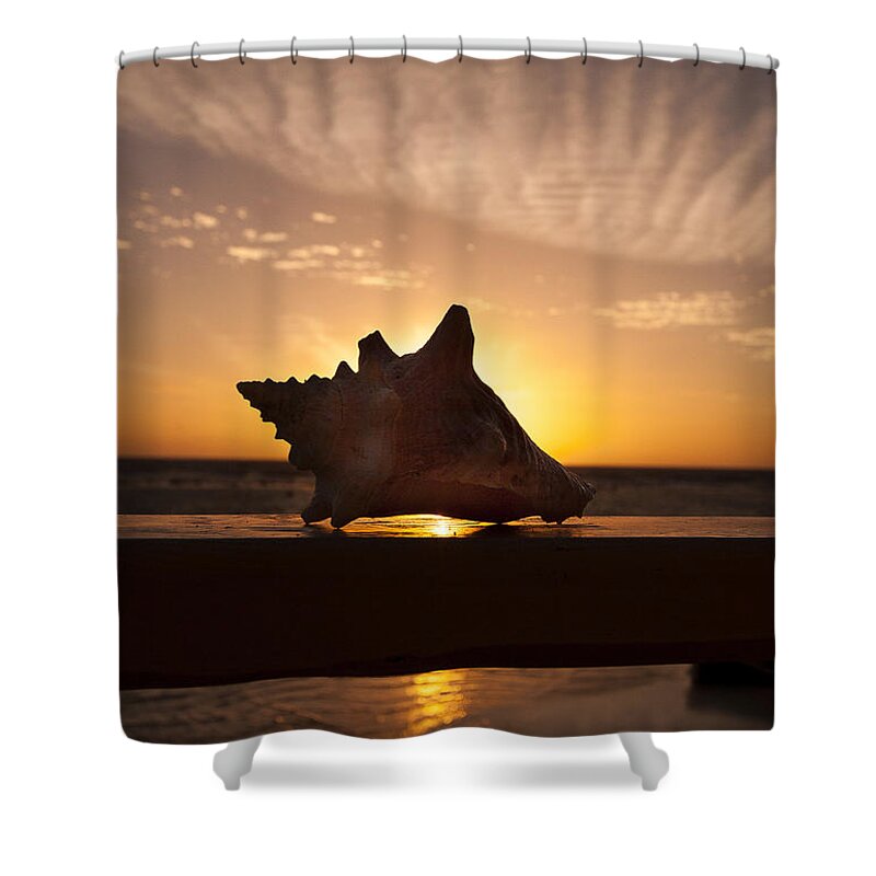 Sunrise Conch Shower Curtain featuring the photograph Sunrise Conch by Jean Noren