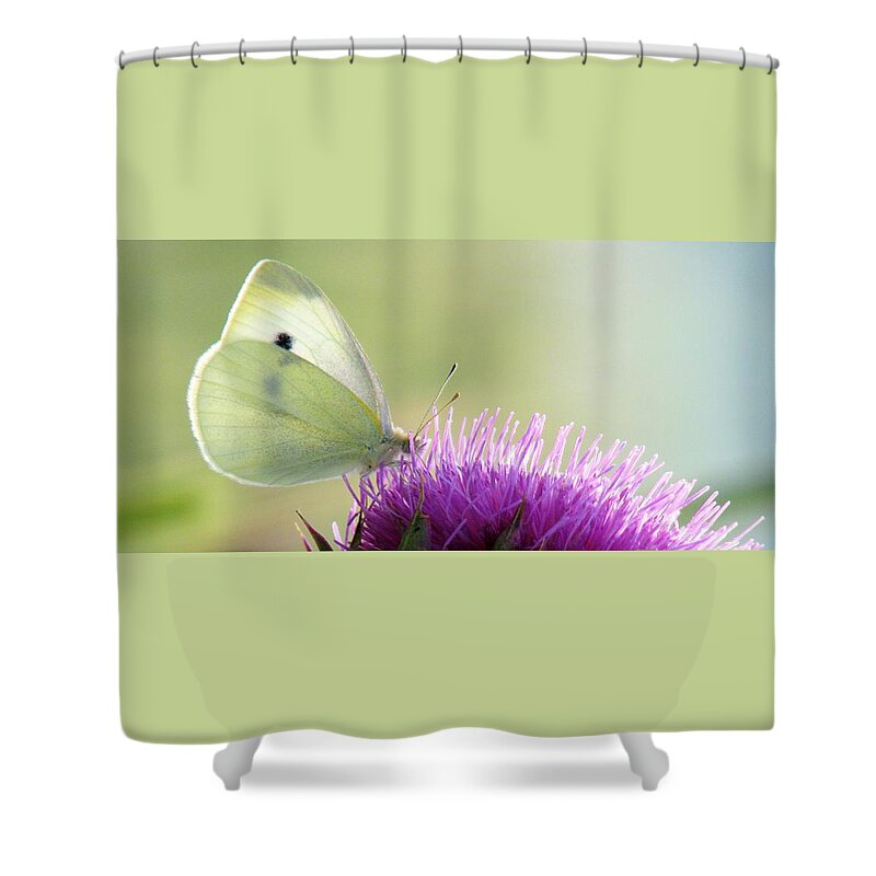 Thistle Shower Curtain featuring the photograph Sunrise In The Thistle Fields by Angela Davies