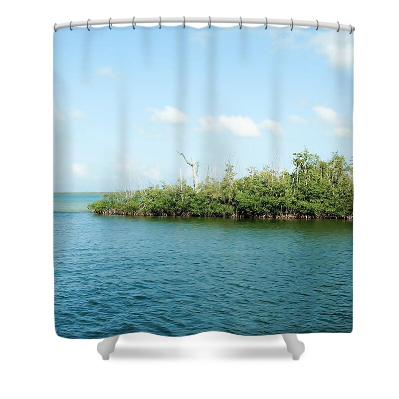 Color Shower Curtain featuring the photograph Sunrise Landing by Amar Sheow