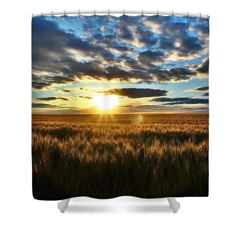 Sunrise Shower Curtain featuring the photograph Sunrise on the wheat field by Lynn Hopwood