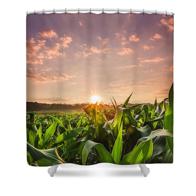 Scenics Shower Curtain featuring the photograph Sunrise Over Field Of Crops In France by Verity E. Milligan