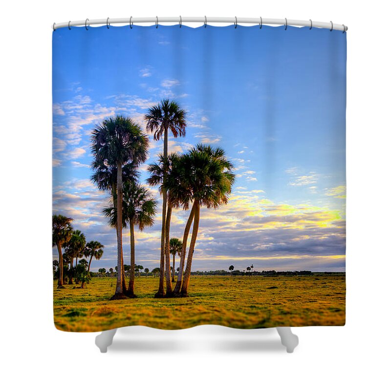 Florida Shower Curtain featuring the photograph Sunrise Sentinels by W Chris Fooshee