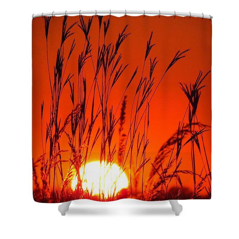 Sunset Shower Curtain featuring the photograph Sunset at the Sweet Marsh by Lori Frisch