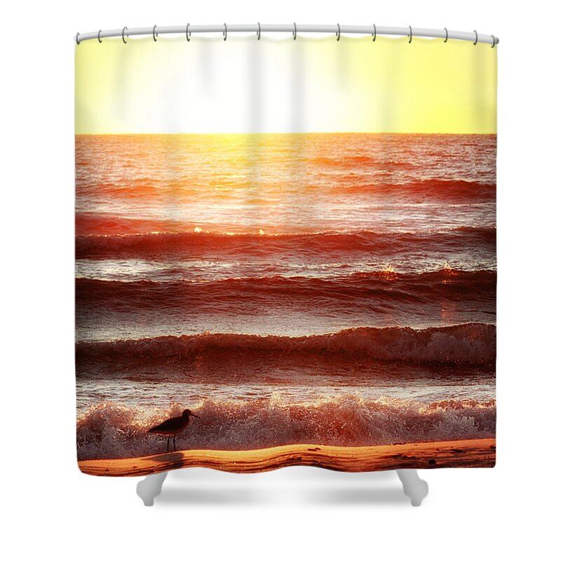 Sunset Shower Curtain featuring the photograph Sunset Beach by Daniel George