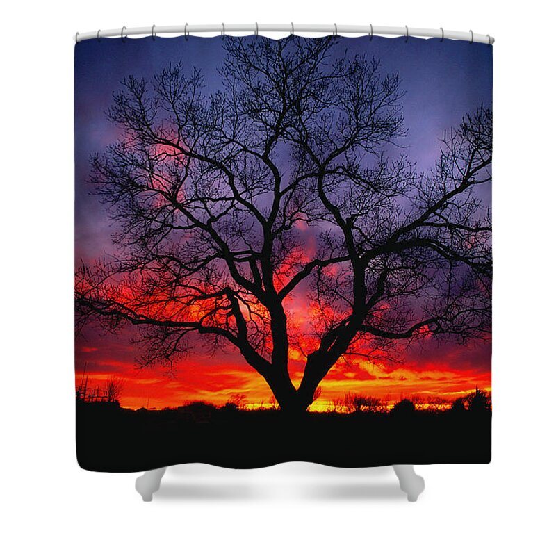 Sunset Shower Curtain featuring the photograph Sunset Fire by Joe Ownbey
