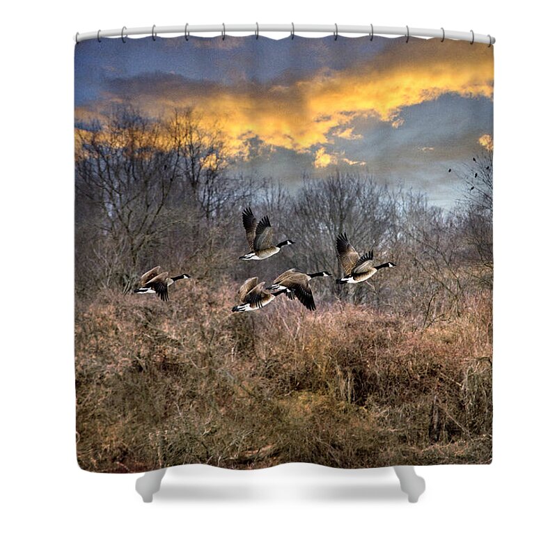 Sunset Shower Curtain featuring the photograph Sunset Geese by Christina Rollo