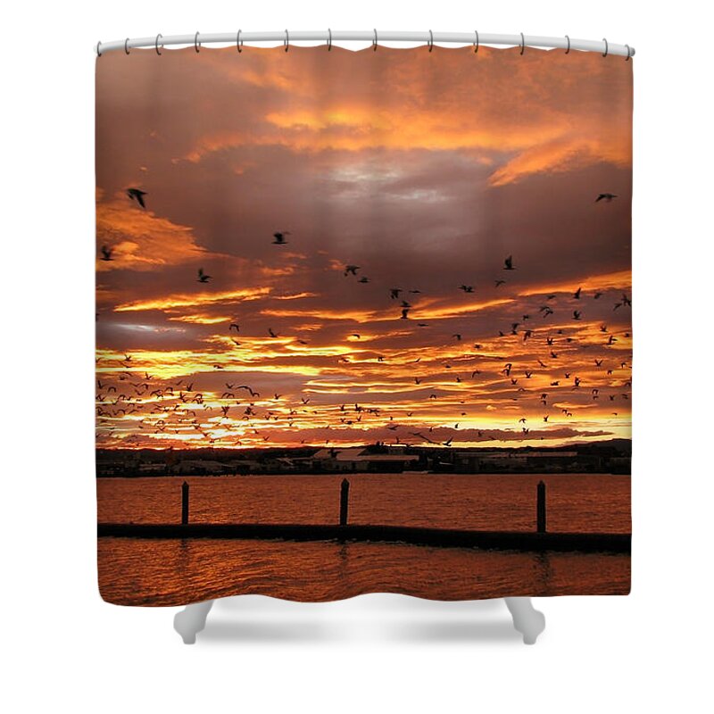 Sunset Shower Curtain featuring the photograph Sunset in Tauranga New Zealand by Jola Martysz