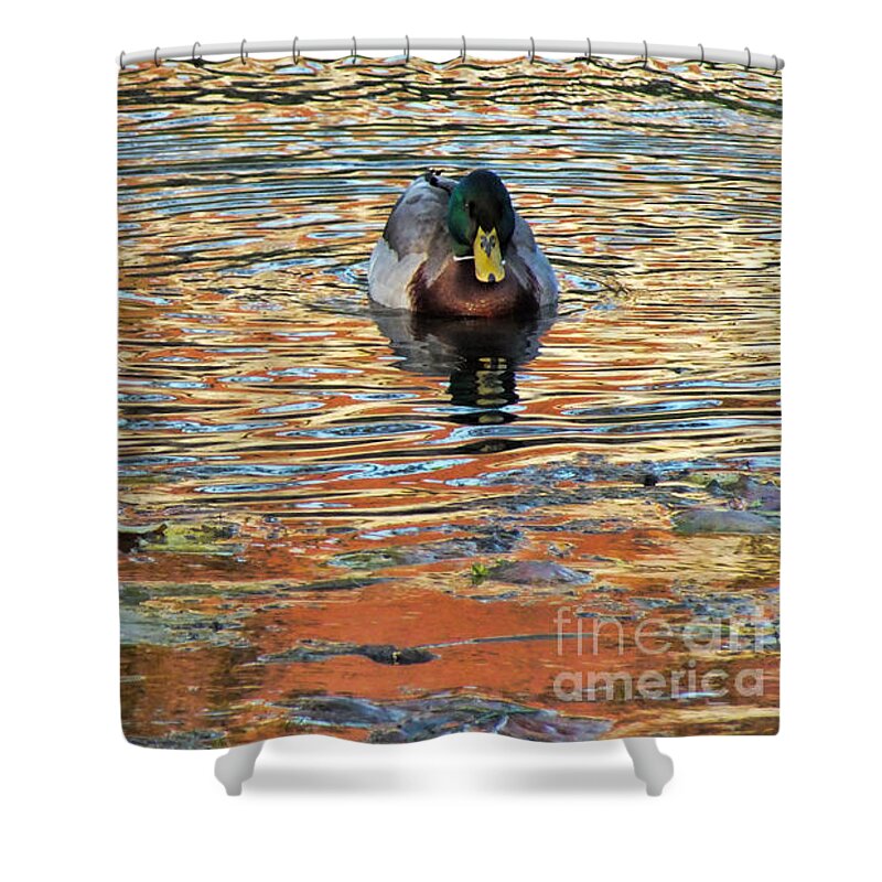 Lake Shower Curtain featuring the photograph Sunset Lake by Karen Lewis