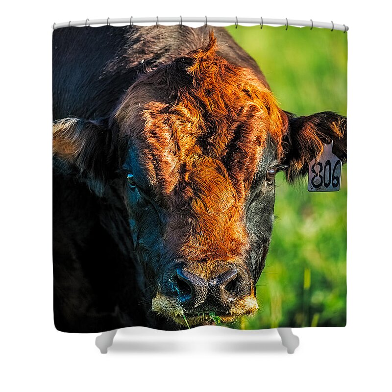 Animal Shower Curtain featuring the photograph Sunset On 806 by Paul Freidlund
