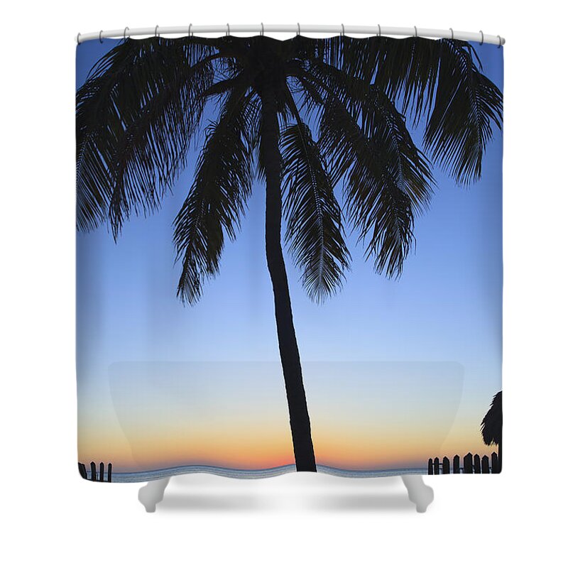 Bayshore Shower Curtain featuring the photograph Sunset Palm by Raul Rodriguez
