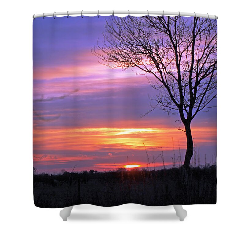 Sunset Shower Curtain featuring the photograph Sunset by Tony Murtagh