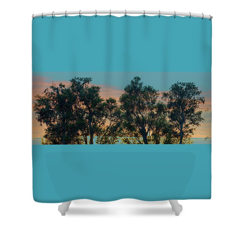 Tree Top Shower Curtain featuring the photograph Sunset Trees by Ben and Raisa Gertsberg