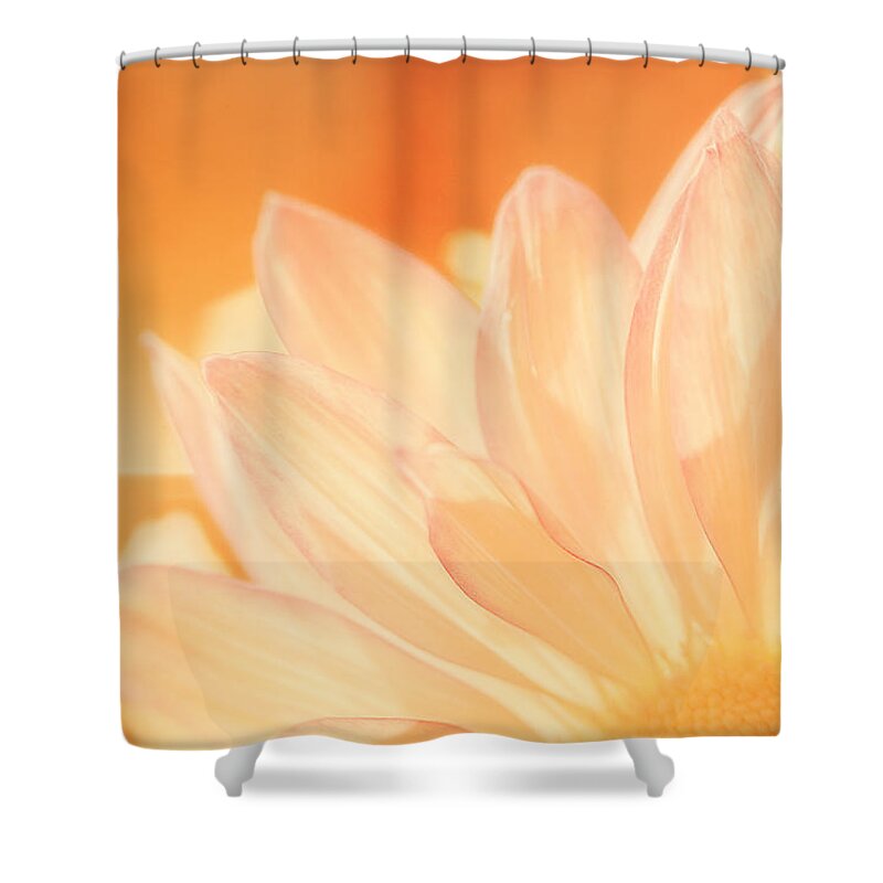 Flower Shower Curtain featuring the photograph Sunshine by Scott Norris