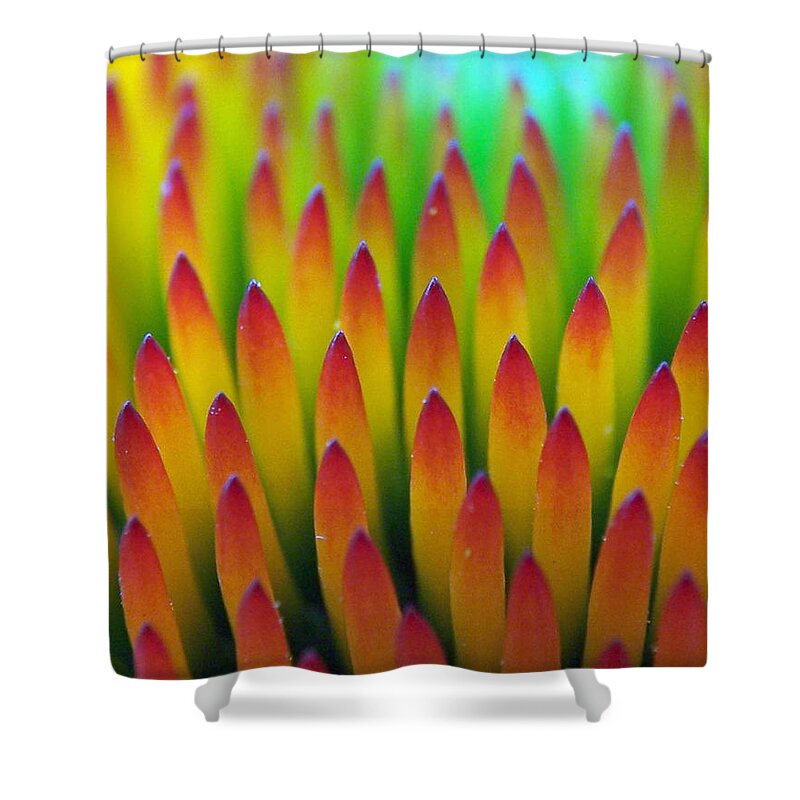 Cone Flowers Shower Curtain featuring the photograph Super Macro of Echinacea Cone Flower by Ernest Echols