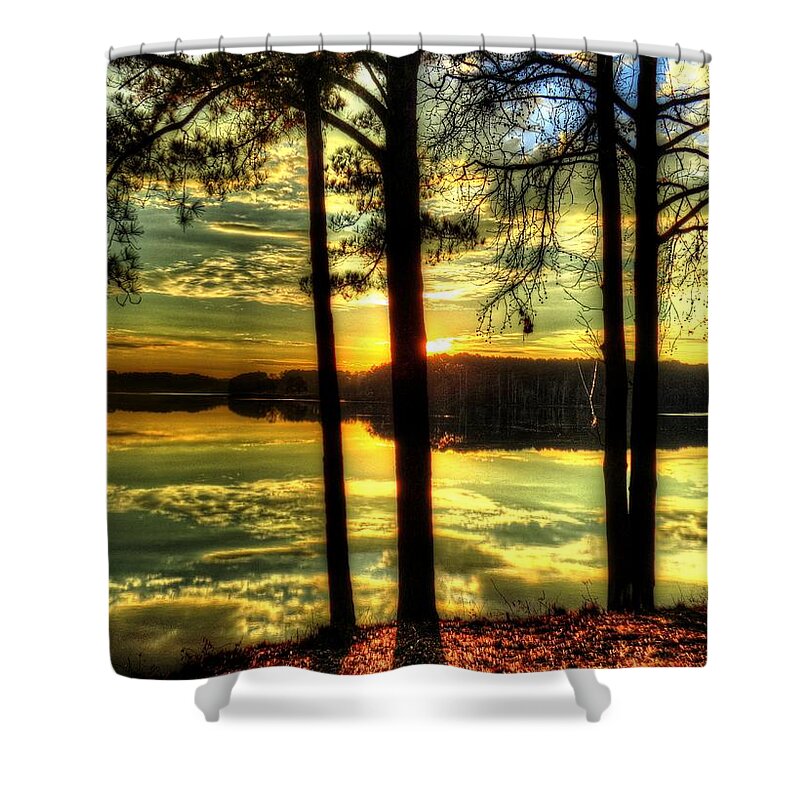 Lake Shower Curtain featuring the digital art Surreal Lake by Kathleen Illes