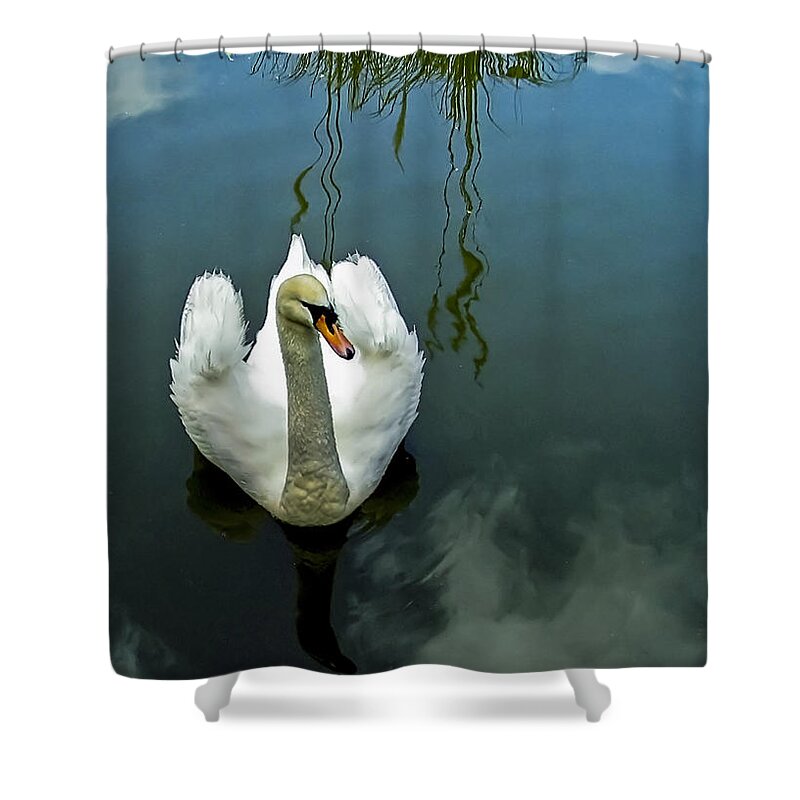 Bird Shower Curtain featuring the photograph Swan by Paulo Goncalves