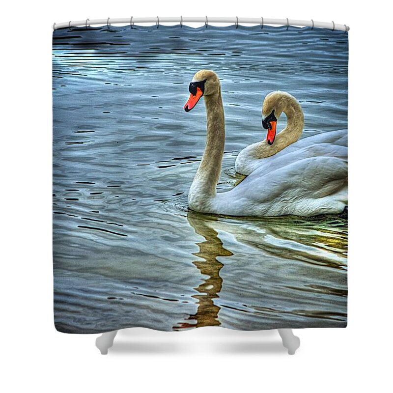Swans Shower Curtain featuring the photograph Swan song by Dennis Baswell
