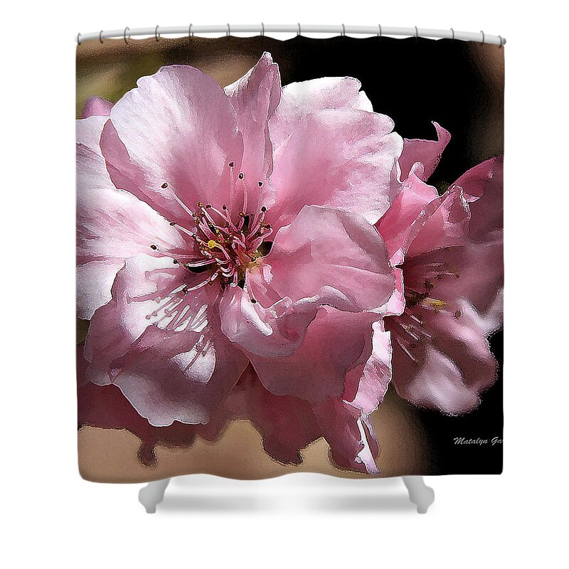 Flowers Shower Curtain featuring the photograph Sweet Blossoms by Matalyn Gardner