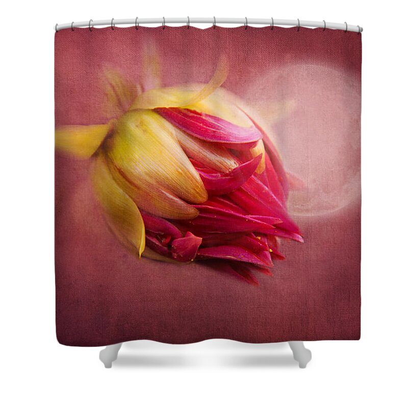 Flower Shower Curtain featuring the photograph Sweet Dreams by Marina Kojukhova