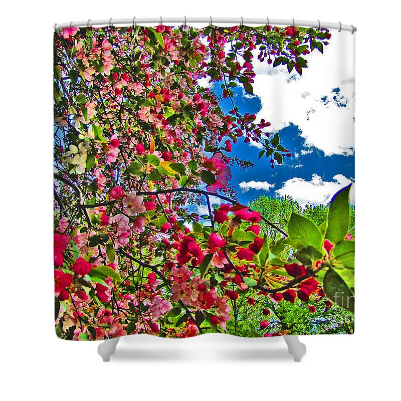 Bright Shower Curtain featuring the photograph Sweet Escape by Minding My Visions by Adri and Ray