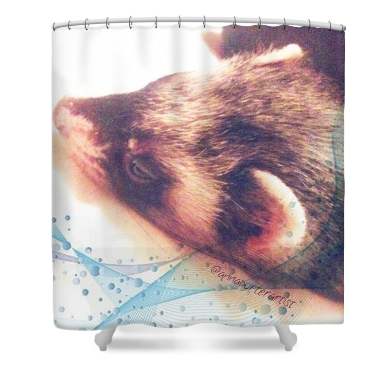 Petstagram Shower Curtain featuring the photograph Sweet Little Nicky - My #ferret Asleep by Anna Porter