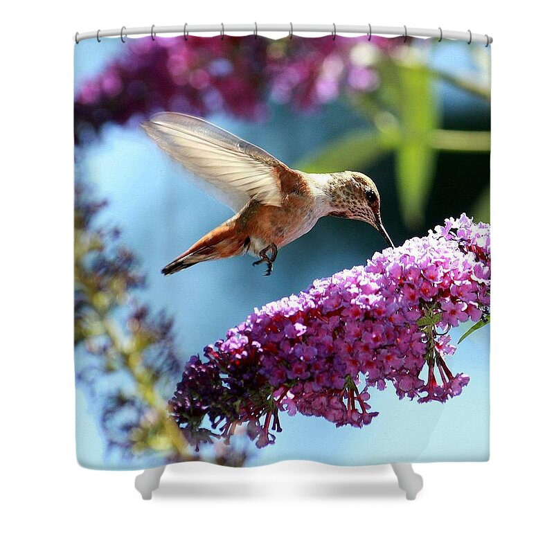 Sweet Shower Curtain featuring the photograph Sweet by Patrick Witz