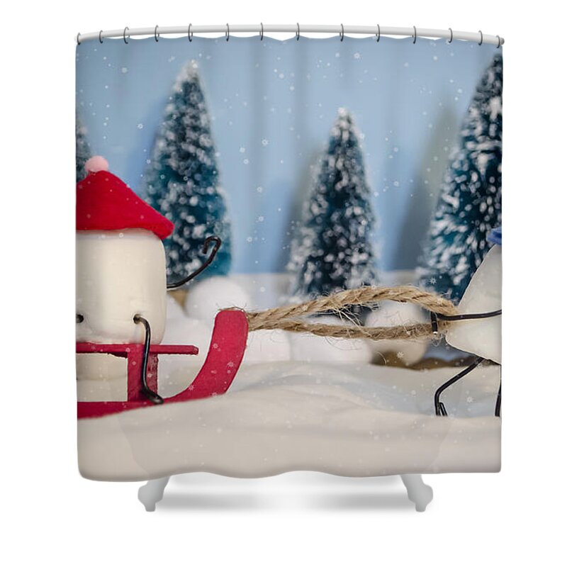 Sleigh Shower Curtain featuring the photograph Sweet Sleigh Ride by Heather Applegate