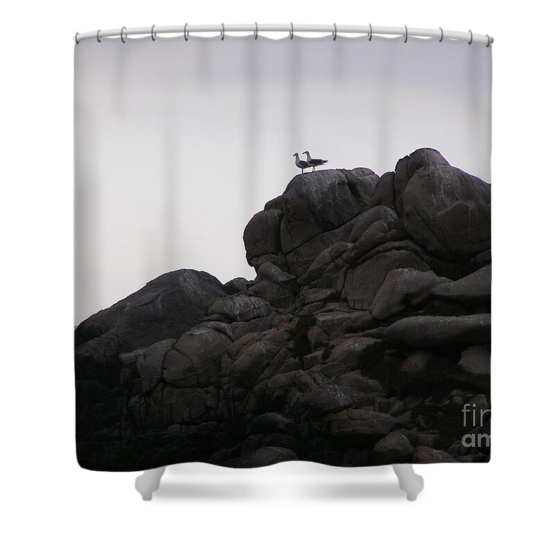 Seagulls Shower Curtain featuring the photograph Sweethearts by Bev Conover