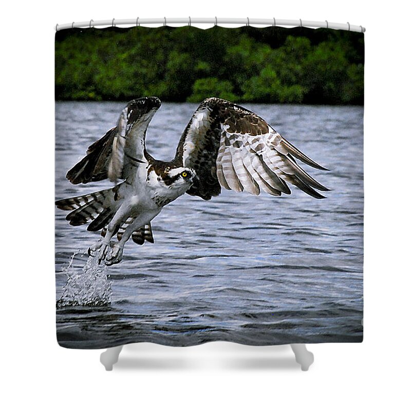 Bird Shower Curtain featuring the photograph Swing and a miss by Quinn Sedam