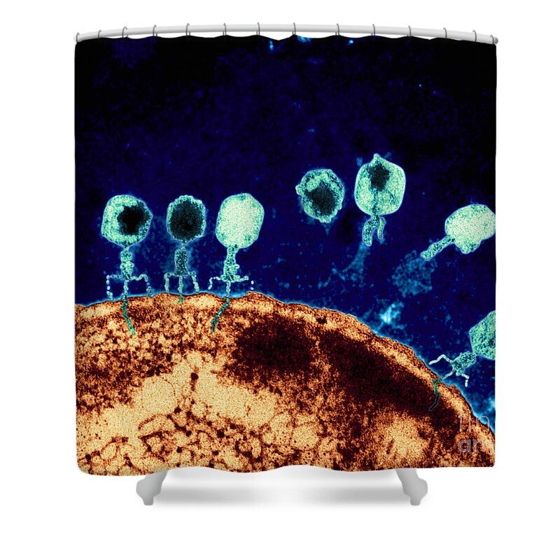 Viruses And Bacteria Shower Curtains