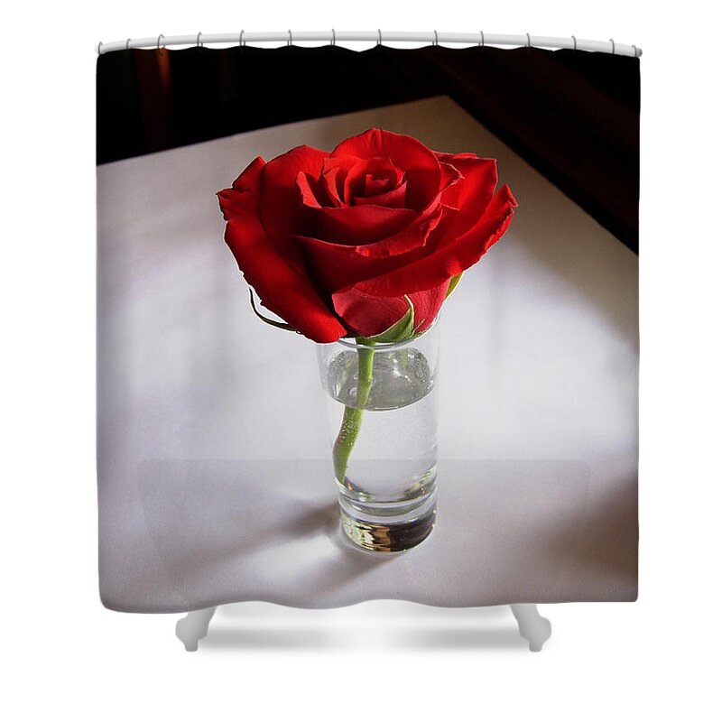 Rose Shower Curtain featuring the photograph Table Rose by Joe Ownbey