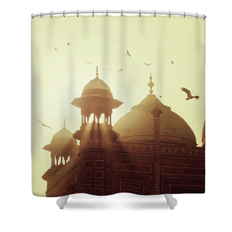 Mosque Shower Curtain featuring the photograph Taj Mahal by Thepalmer