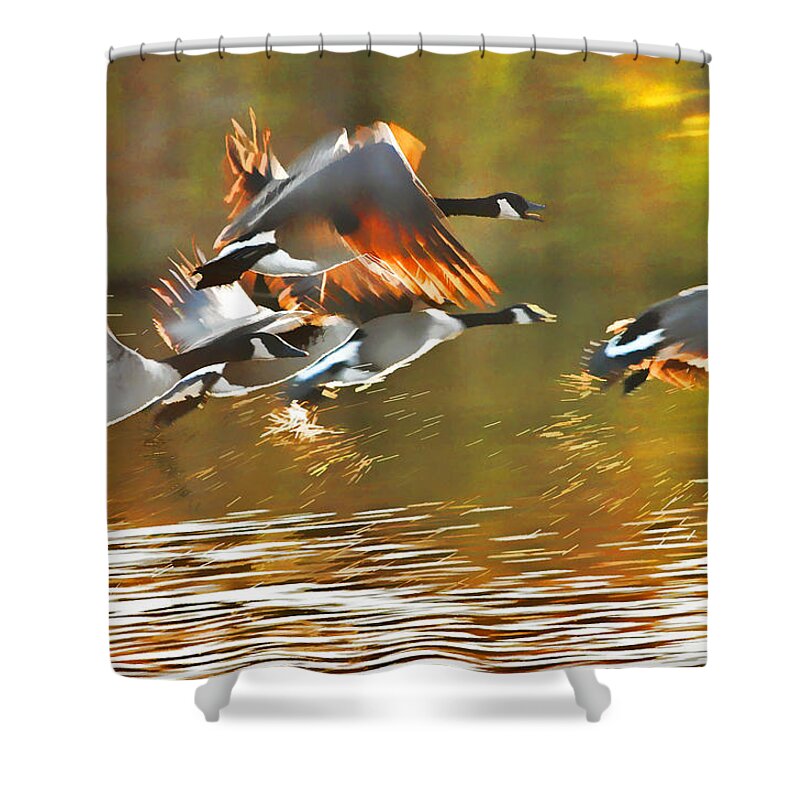 Canada Goose Shower Curtain featuring the photograph Taking Flight by Allan Van Gasbeck