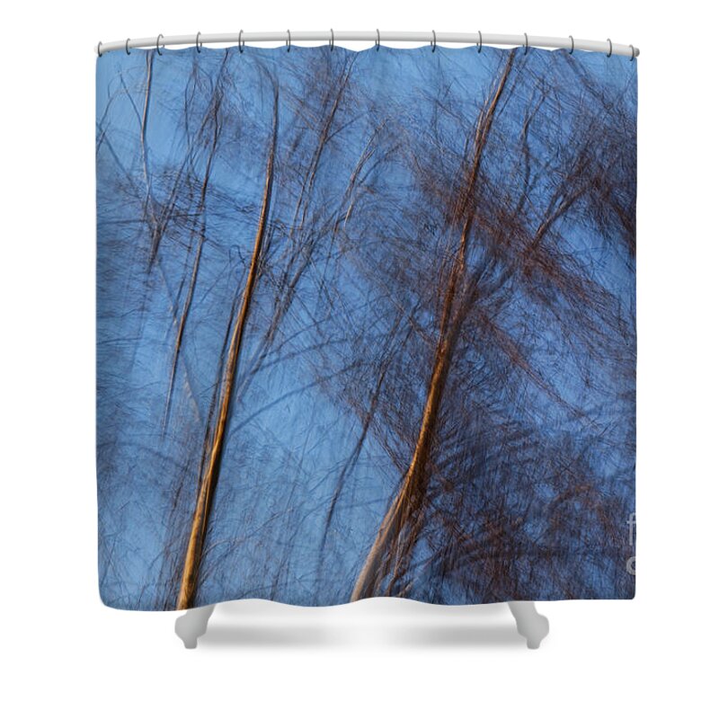 Trees Shower Curtain featuring the photograph Talking trees by Casper Cammeraat
