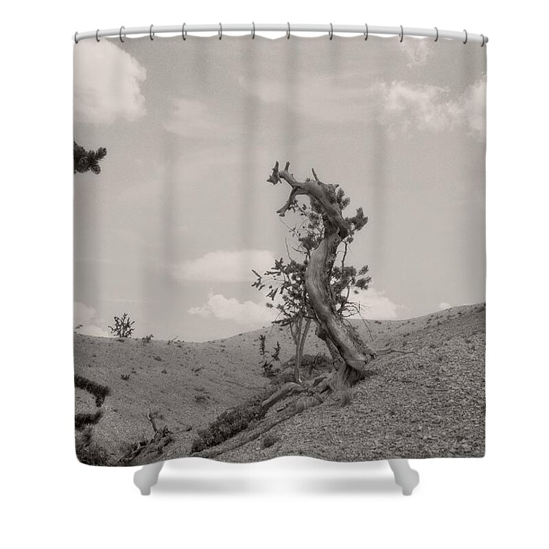 Utah Shower Curtain featuring the photograph Talking Trees in Bryce Canyon by Carol Whaley Addassi