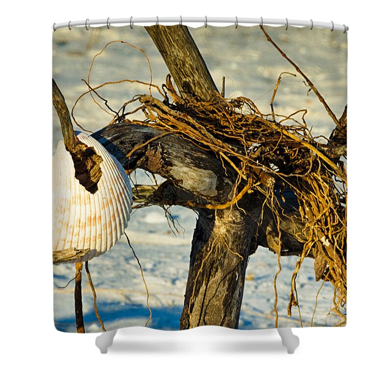 Driftwood Shower Curtain featuring the photograph Tangled Driftwood by Georgette Grossman