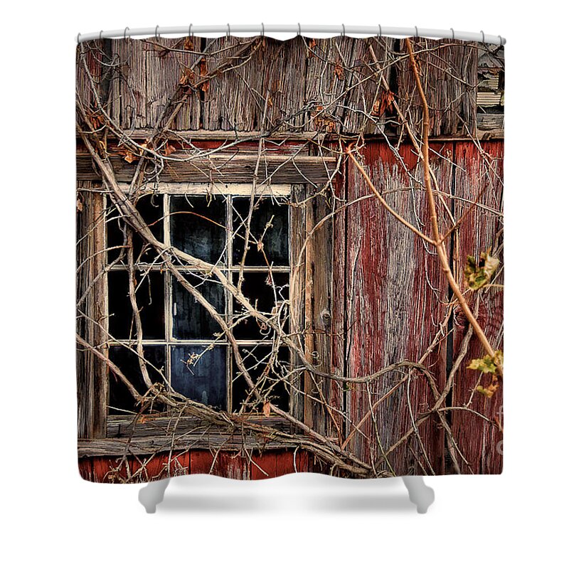 Barn Shower Curtain featuring the photograph Tangled Up In Time by Lois Bryan